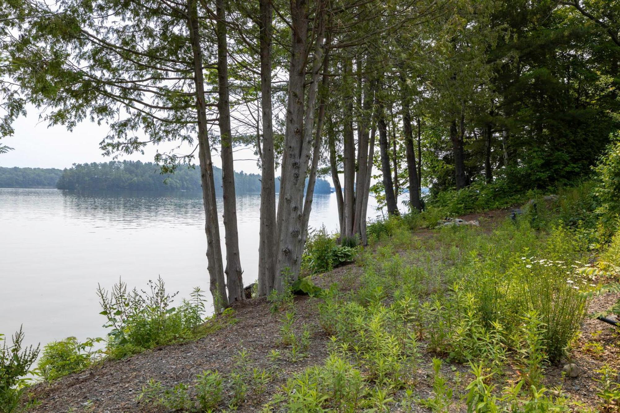 Tranquil Shores Mactier Exterior foto